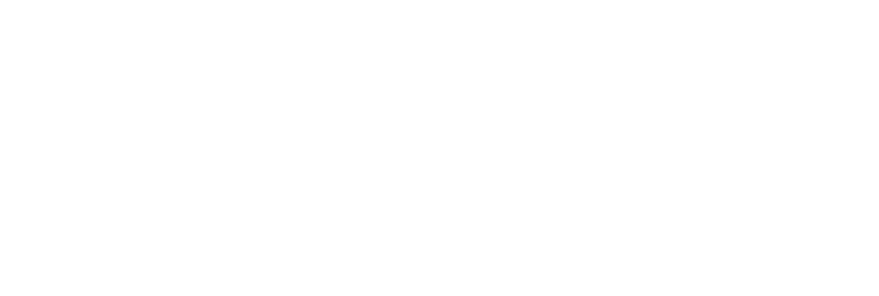 Kaneka MS Polymer